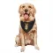 Black Pittsburgh Penguins Lars Eller   Dog & Cat Pet Bandana