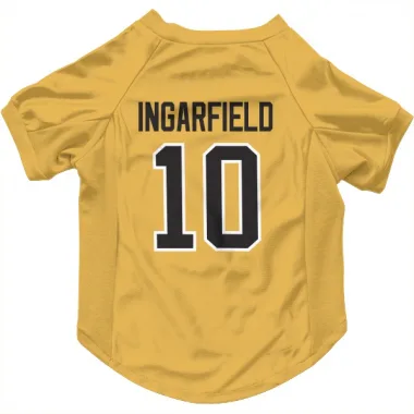 Gold Pittsburgh Penguins Earl Ingarfield   Dog & Cat Pet Jersey