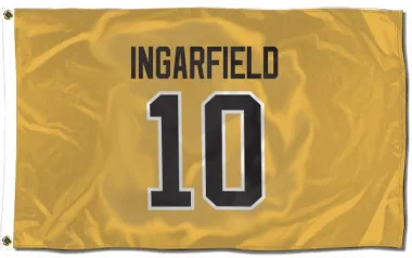 Gold Pittsburgh Penguins Earl Ingarfield   Flag (3 X 5)