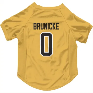 Gold Pittsburgh Penguins Harrison Brunicke   Dog & Cat Pet Jersey