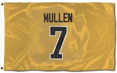 Gold Pittsburgh Penguins Joe Mullen   Flag (3 X 5)