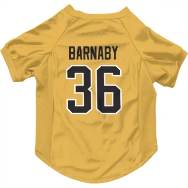 Gold Pittsburgh Penguins Matthew Barnaby   Dog & Cat Pet Jersey