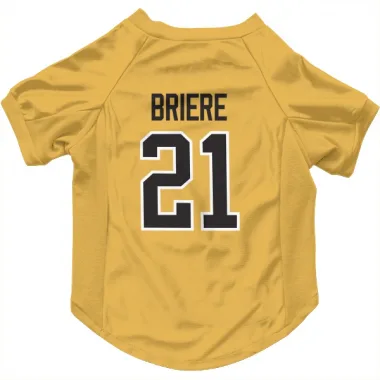 Gold Pittsburgh Penguins Michel Briere   Dog & Cat Pet Jersey