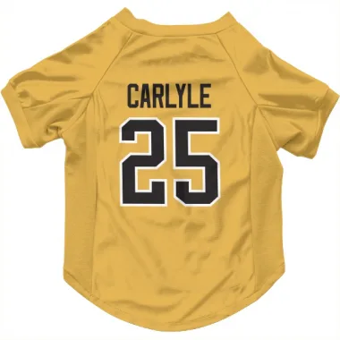 Gold Pittsburgh Penguins Randy Carlyle   Dog & Cat Pet Jersey