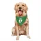 Green Pittsburgh Penguins Bryan Rust   Dog & Cat Pet Bandana