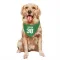 Green Pittsburgh Penguins Filip Larsson   Dog & Cat Pet Bandana