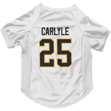 White Pittsburgh Penguins Randy Carlyle   Dog & Cat Pet Jersey