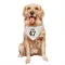 White Pittsburgh Penguins Samuel Houde   Dog & Cat Pet Bandana